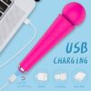 Heavenly Obsession 2 in 1 Massage Wand