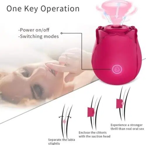 Luxury 🌹 Rose Sucking Vibrator (Pink)