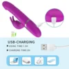 Destiny Thrusting Vibrating Rabbit (Purple)