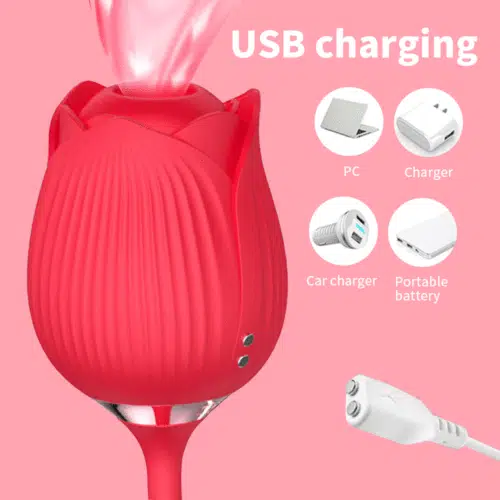 Charmed™ 4 in 1 Rose Air Pulse Vibrator