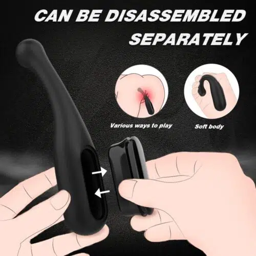 GIGI Bending Vibrator & Free Bullet Vibrator