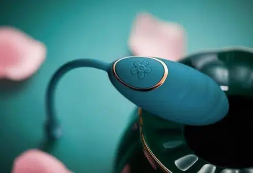 Daisy Premium Couples Egg Remote Control