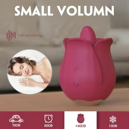 LeRose Pro 4 Licking Vibrator (Pink)