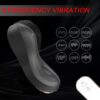 Venus Magnetic Couples Panty Vibrator