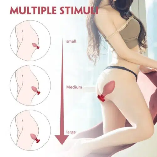 La’ Rosa Anal Butt Plug Set (Red)