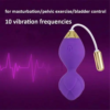 Goddess Couples Pleasure Balls (Purple)
