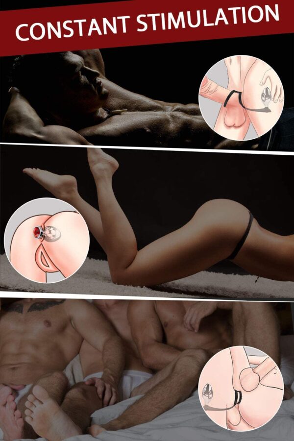 Premium Stainless Steel Anal Plug Set