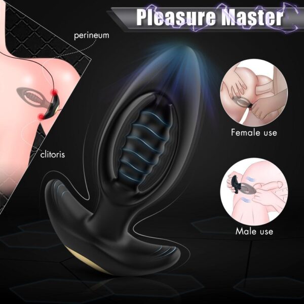 Bendley Premium Anal Butt Plug Remote Control