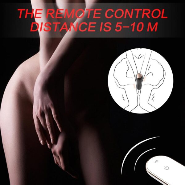 Venus Magnetic Couples Panty Vibrator